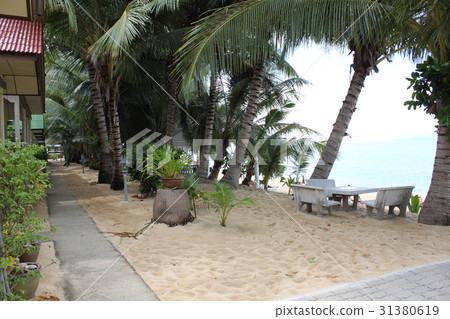 view of the beach with palm trees in Koh Samui view of the beach with palm trees in Koh Samui 31380619