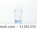 water    31381355