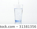 water    31381356