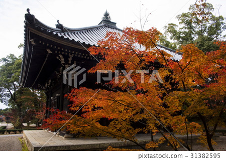 Autumn leaves of Ninna-ji Temple 31382595
