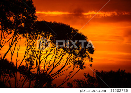 Dramatic Australian sunset 31382786