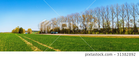 Panoramic rural landscape 31382892