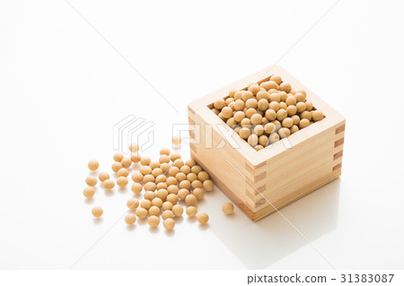 大豆 31383087
