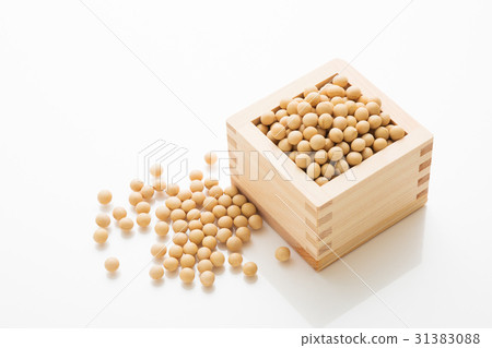 大豆 31383088