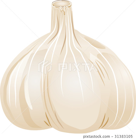 淡棕色大蒜 31383105