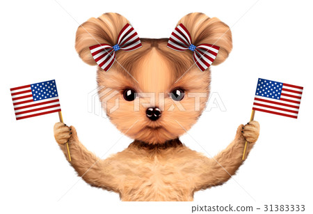 Funny dog holding USA flag. Concept of 4th of July 31383333