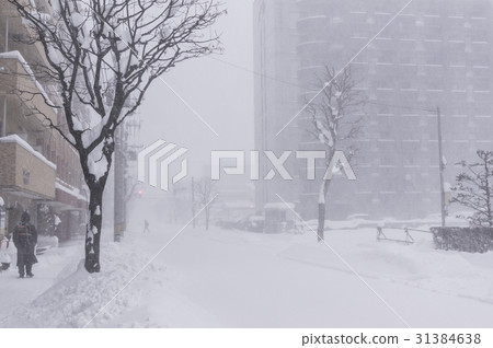 Winter in Hokkaido Winter in Hokkaido 31384638