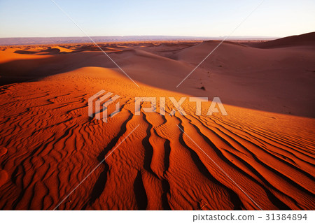 Sand dunes Sand dunes 31384894