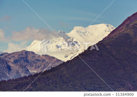 Wrangell Wrangell 31384900