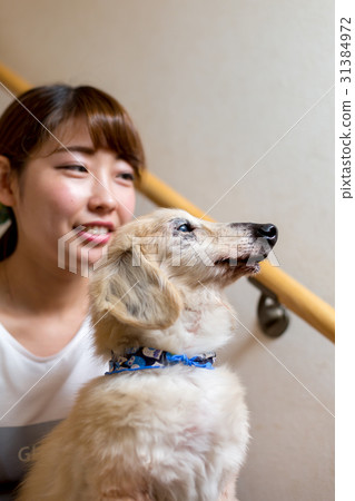 A woman holding a senior dog 31384972