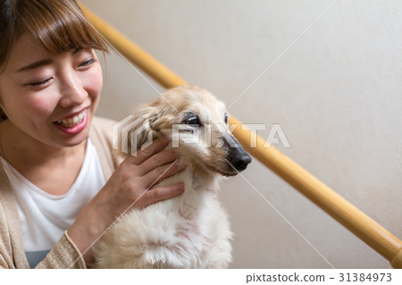 A woman holding a senior dog A woman holding a senior dog 31384973