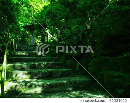 Rurikkoin寺 Rurikkoin寺 31385023