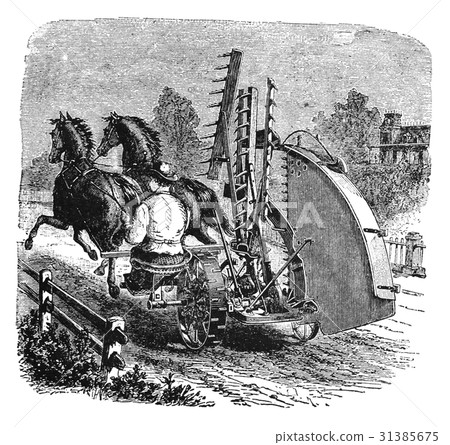 haymaking time - Stock Illustration [31385675] - PIXTA