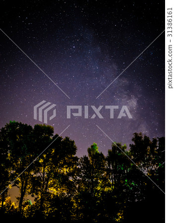 Starry sky and trees in the foreground Starry sky and trees in the foreground 31386161