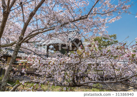Spring Landscape of Daikensa Temple in Sagano, Kyoto 31386940