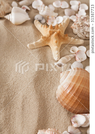 Sea beach sand and seashells background, natural 31387713