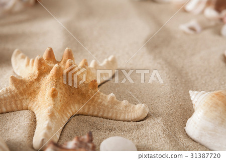 Sea beach sand and seashells background, natural 31387720