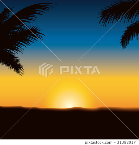 Sunset beach Sunset beach 31388017