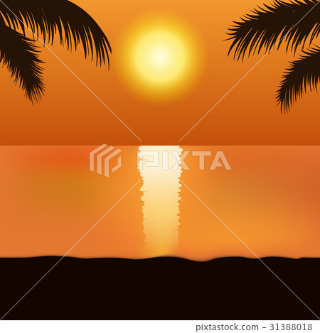 Sunset beach Sunset beach 31388018