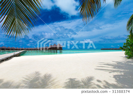 Maldives island with beach Maldives island with beach 31388374