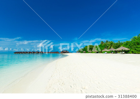 Maldives island with beach Maldives island with beach 31388400