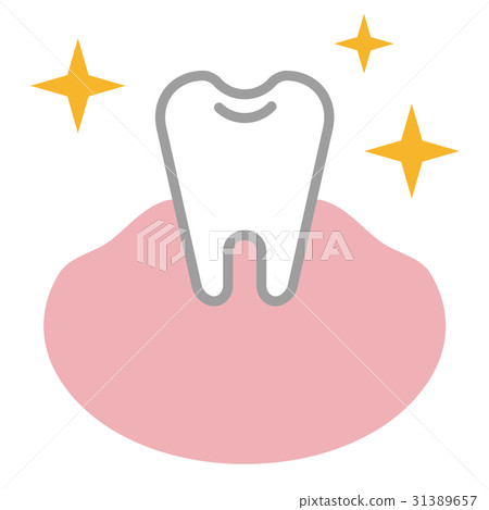 Tooth 31389657
