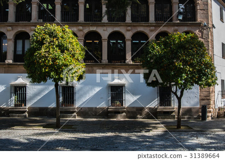 Early morning in historical center of Ronda, Spain Early morning in historical center of Ronda, Spain 31389664
