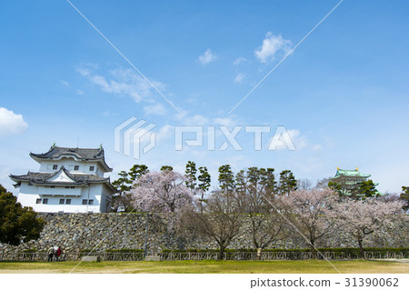春天名古屋城堡 春天名古屋城堡 31390062