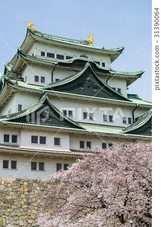 Spring Nagoya Castle Spring Nagoya Castle 31390064