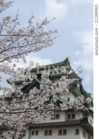Spring Nagoya Castle Spring Nagoya Castle 31390065