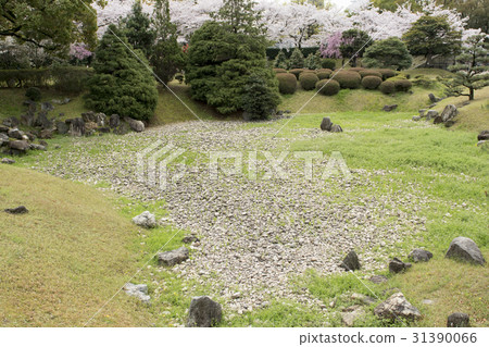 春天名古屋城堡 春天名古屋城堡 31390066
