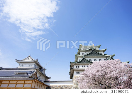 春天名古屋城堡 春天名古屋城堡 31390071