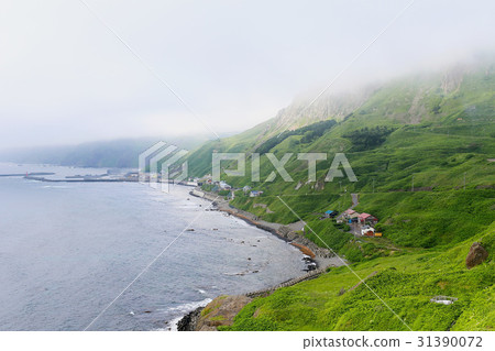 禮文島北海道 禮文島北海道 31390072