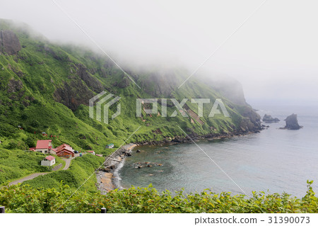 禮文島北海道 31390073