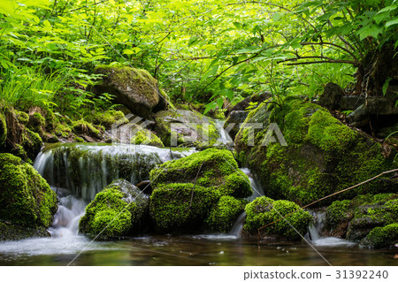 Waterfall landscape river 31392240