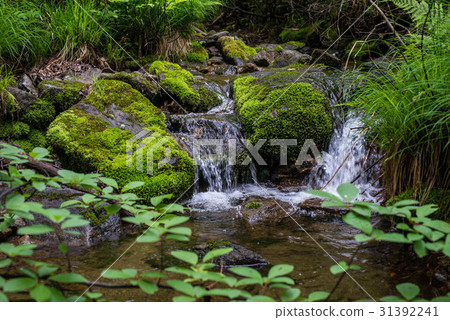 Waterfall landscape river 31392241