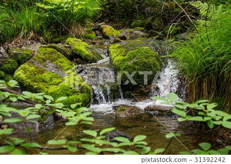 Waterfall landscape river 31392242