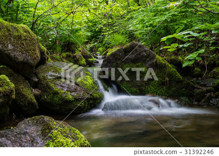 Waterfall landscape river 31392246