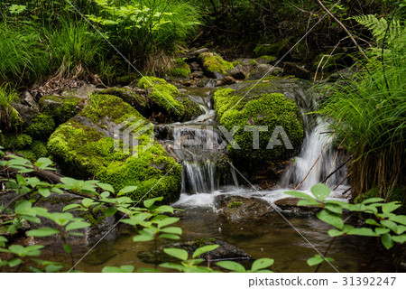 Waterfall landscape river Waterfall landscape river 31392247