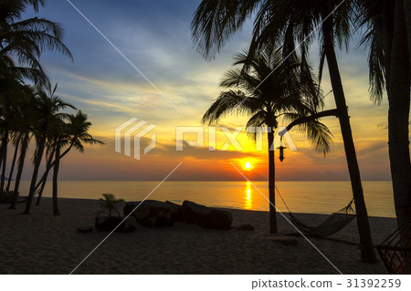 Dawn sunrise Dawn sunrise 31392259