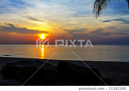 Morning sunrise Morning sunrise 31392260