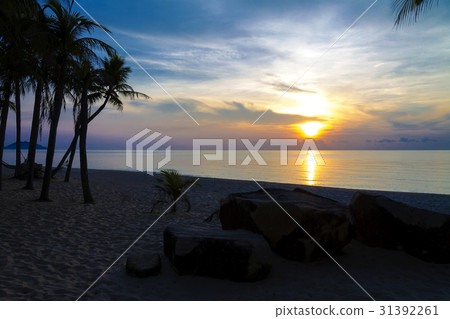 Sunrise morning Sunrise morning 31392261
