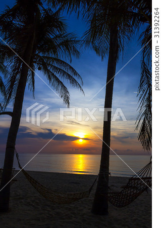 Silhouette coconut Silhouette coconut 31392264