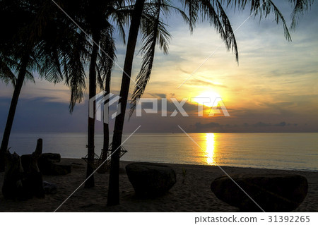 Silhouette stone and coconut Silhouette stone and coconut 31392265