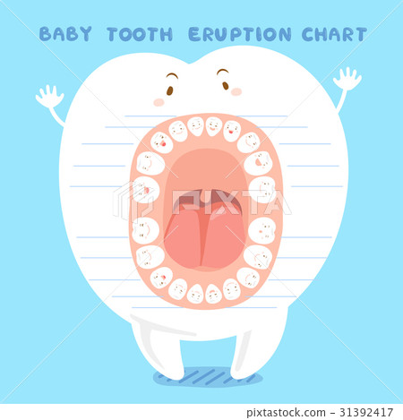 cartoon baby tooth eruption chart cartoon baby tooth eruption chart 31392417