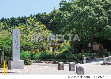 Higashiikian 31392460