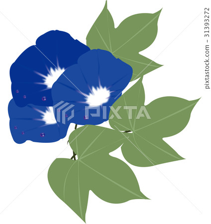喇叭花 喇叭花 31393272