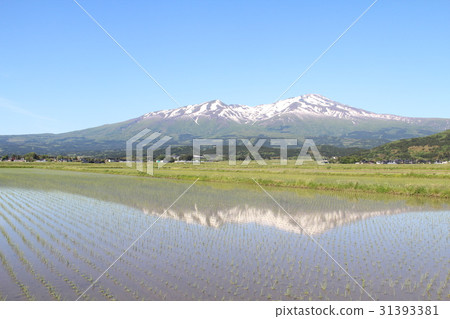 Chokai and Shonai Plain with remaining snow Chokai and Shonai Plain with remaining snow 31393381