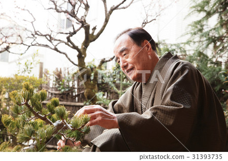 照顧豐富的盆景 31393735