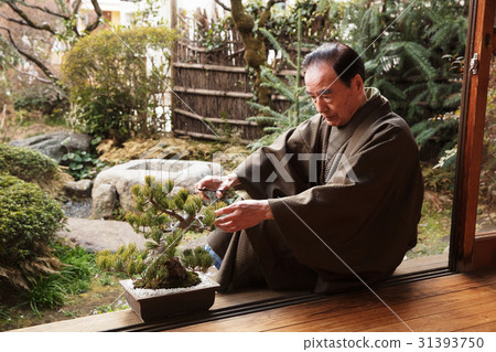 照顧豐富的盆景 照顧豐富的盆景 31393750